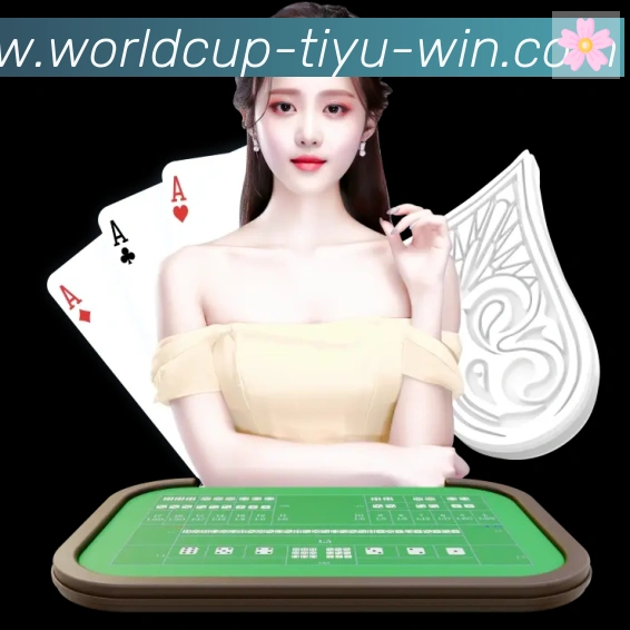 2026世界杯买球入口发展历程