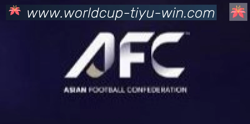 2026世界杯买球入口合作伙伴
